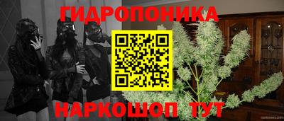 гашишное масло Можга